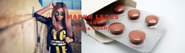 ГАЛЛЮЦИНОГЕННЫЕ ГРИБЫ Абаза