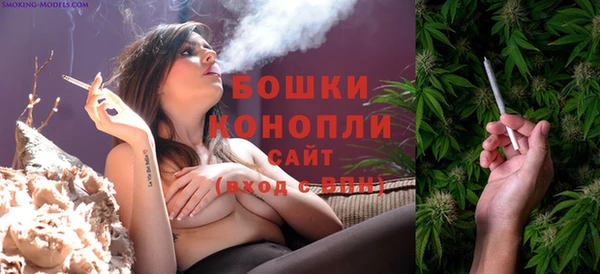 ГАЛЛЮЦИНОГЕННЫЕ ГРИБЫ Абаза